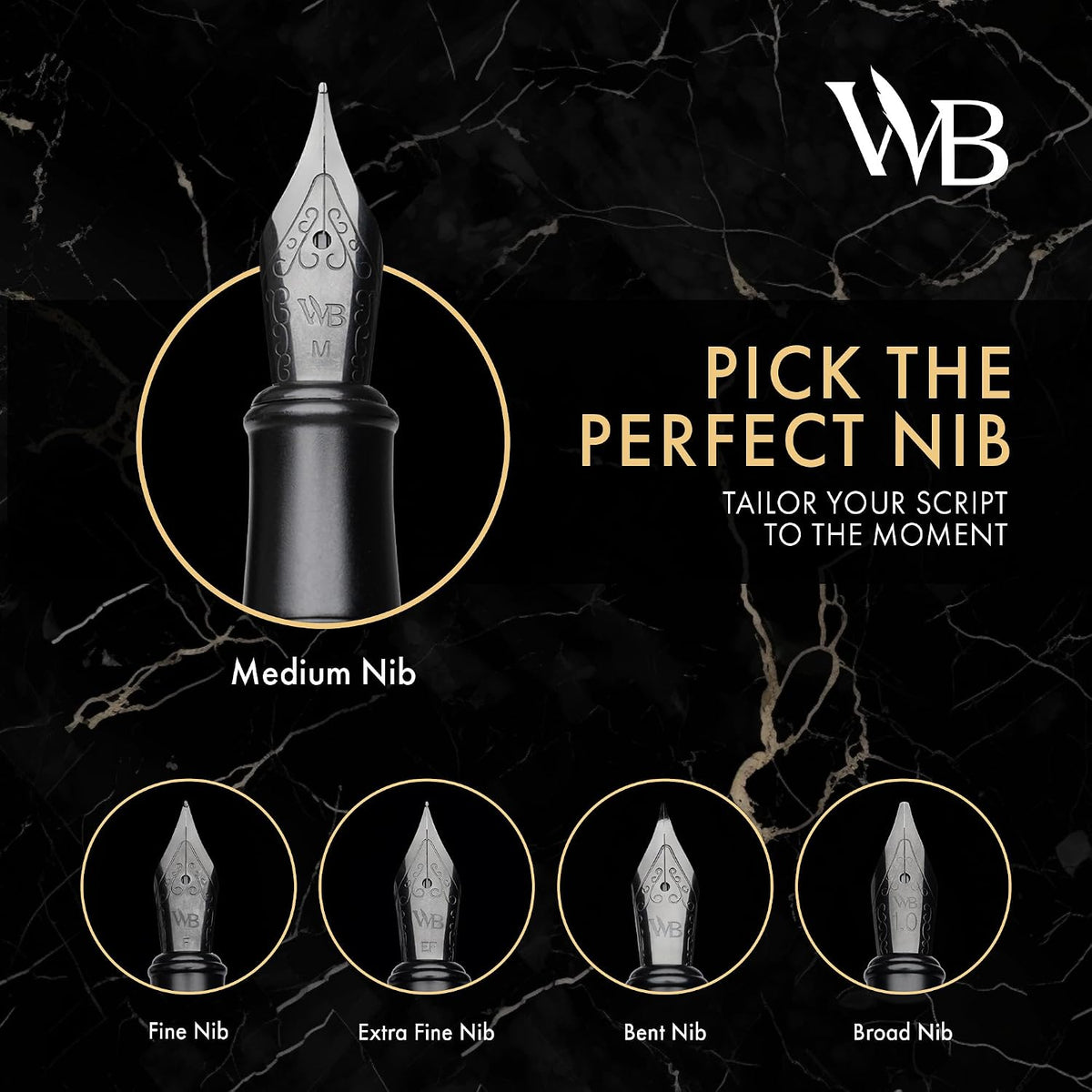 Wordsworth & Black Luxury Fountain Pen Set for Writing, Medium Nib, Black
