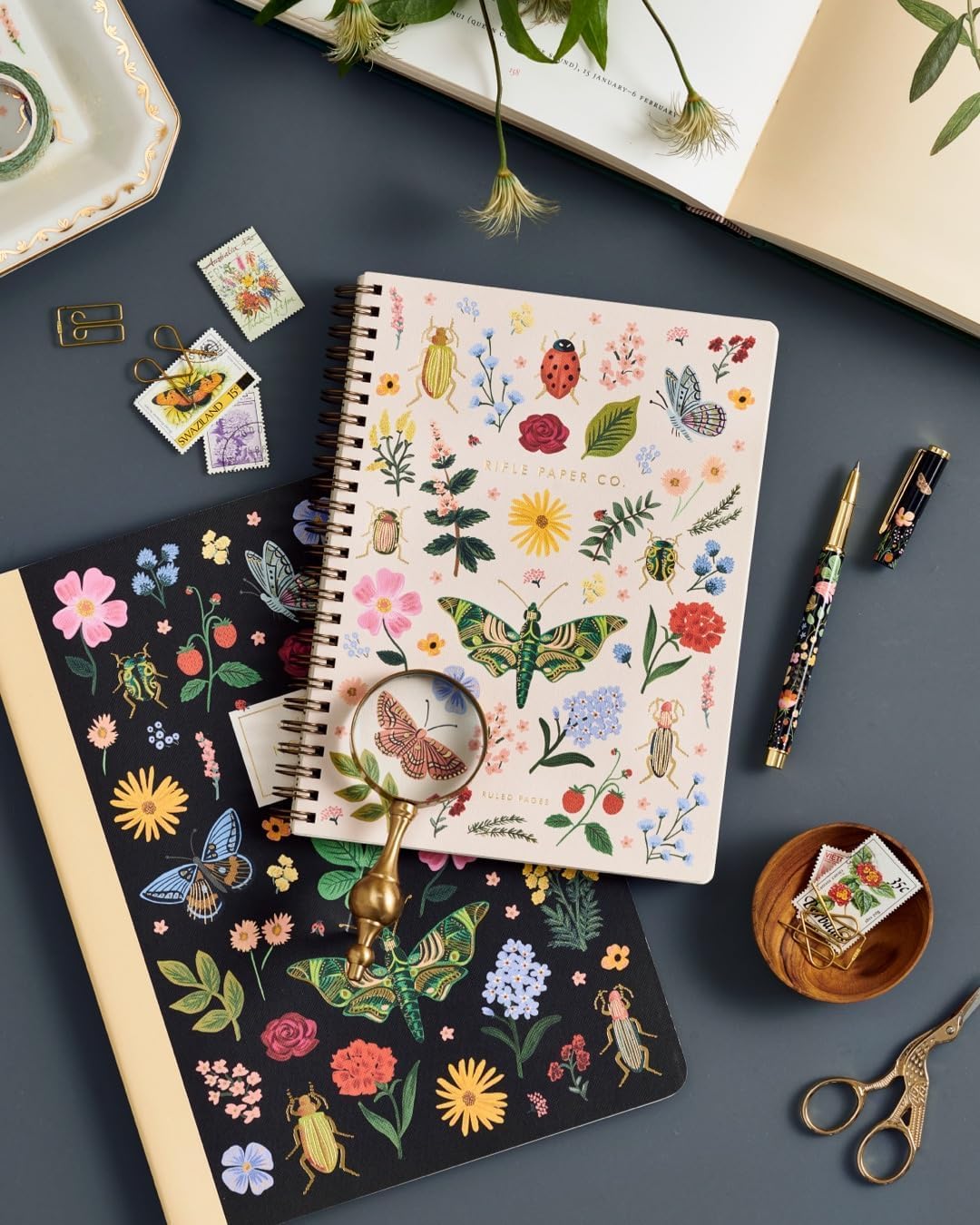 RIFLE PAPER CO. Curio Spiral Notebook with Full-Color Illustration