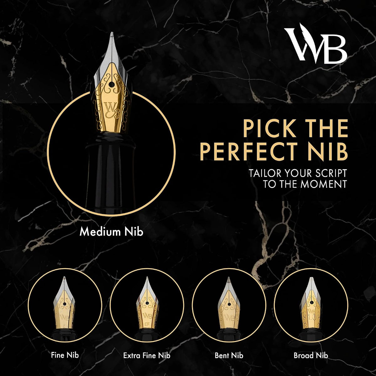 Wordsworth & Black Luxury Fountain Pen Set for Writing, Medium Nib, Silver