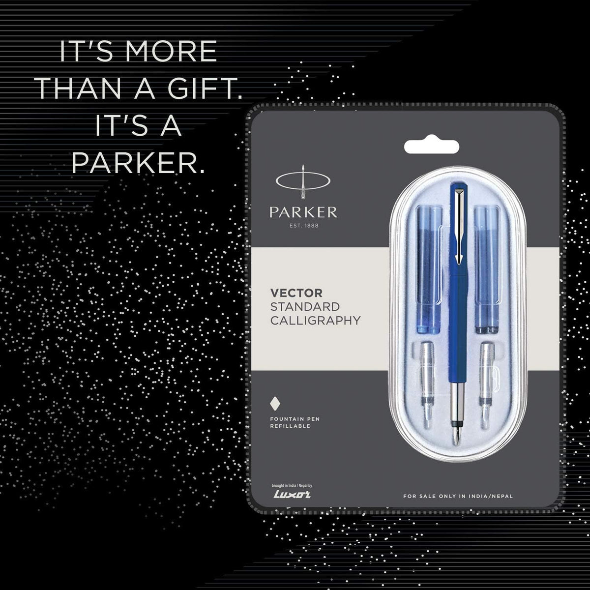 Parker Vector Standard Calligraphy Ct Fountain Pen (Blue)