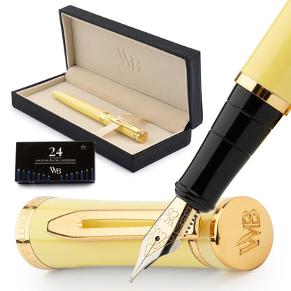 Wordsworth & Black Luxury Fountain Pen Set for Writing, Medium Nib, Silver