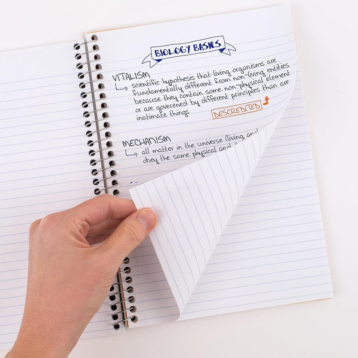 Five Star Spiral Notebooks, 2 Subject, College Ruled Paper, 100 Sheets, 9-1/2" x 6", Colors Selected For You, 3 Pack (73521)