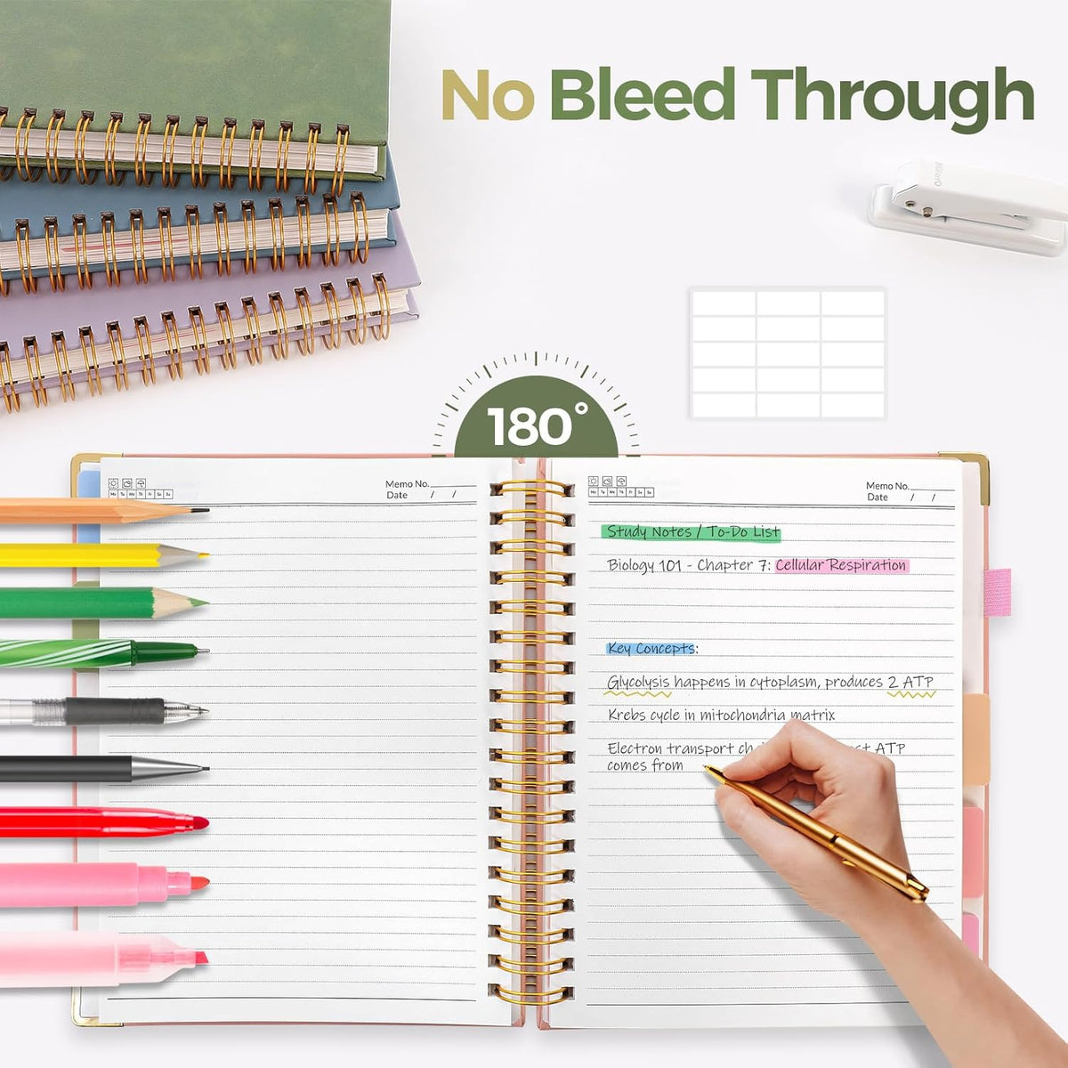 SKYDUE 5 Subject Notebook with Dividers and Tabs, Notebooks for Work